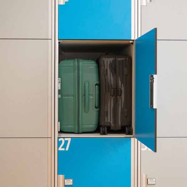 Gare de Lille-Flandres & Lille Europe